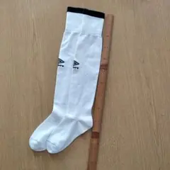 Item thumbnail for item 14685ec3-f1aa-43dd-afa7-b1b3d41e504d