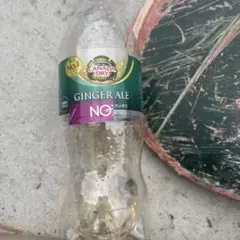 飲みかけのジンジャエール