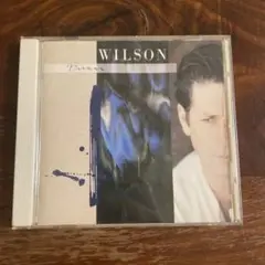 Brian Wilson - Brian Wilson（CD•国内盤）