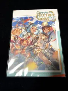 グラブルEXTRAフェス2025 パンフレット