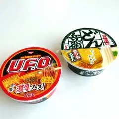 日清食品 UFO どん兵衛 ポリ袋入2個セット 非売品