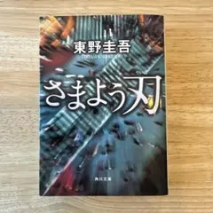 【美品】さまよう刃