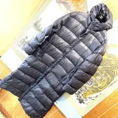 Item thumbnail for item 738a38d5-b829-4589-b37b-03ab1a0577e5