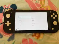 Nintendo Switch Lite グレー 本体 箱無し
