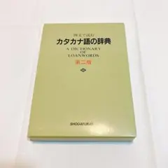 カタカナ語の辞典 : 例文で読む