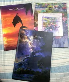 AVANT LIMITED 29~31　画集　アートブック 3冊セット