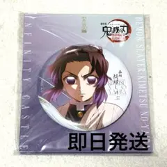鬼滅の刃 無限城編 描き下ろしイラスト 75mm飾れる缶バッジ 胡蝶しのぶ