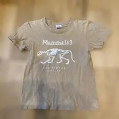 大哺乳類展3 Tシャツ 150cm