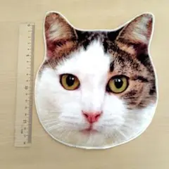 Item thumbnail for item 44d44ece-a219-430a-8864-63fc26c20368