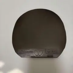 ディグニクス09C