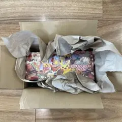 スペシャルBOX ポケモンセンタートウホク