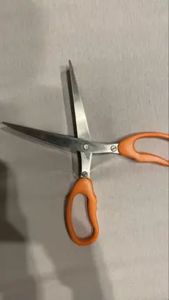 Item thumbnail for item 8e673918-f69f-4e3c-9cd6-06867767a48a