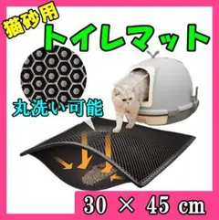 Item thumbnail for item 6eb00013-6657-4fbc-89bc-00cba9d04a84