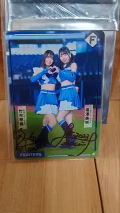 2025年最新】ファイターズガールcdの人気アイテム - メルカリ