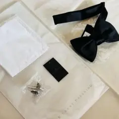 Item thumbnail for item 77f72f4b-8a9e-4888-ab18-88fe6e615cae