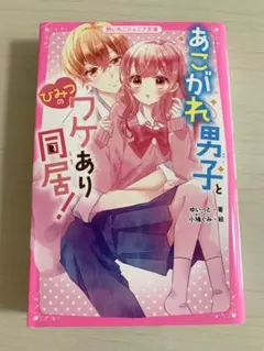 あこがれ男子とひみつのワケあり同居！　小説