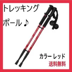 【高品質】トレッキングポール赤
