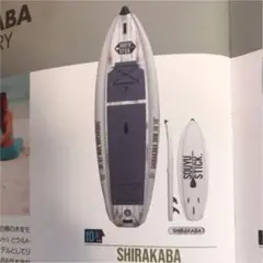 2025年最新】souyu stick shirakabaの人気アイテム - メルカリ