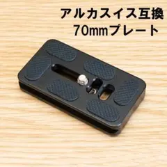 Item thumbnail for item 2af6d6f5-4680-46b7-bc06-f8278f4ee530