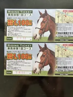 乗馬チケット　割引