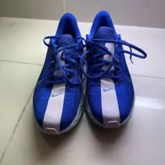 Nike ペガサスプラス25.5