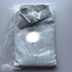 Item thumbnail for item 8931f906-ce6b-4963-9586-1151dd0db358