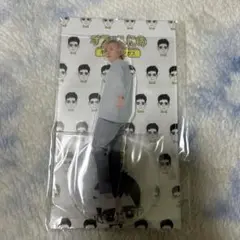 Item thumbnail for item d3632283-069e-4805-8788-8baa4ff53d08