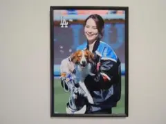 A4 額付き ポスター 田中真美子 デコピン LA カワイイ 愛犬 フォト