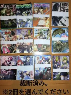 【裁断済】 2冊 ダンジョンシーカー、勇者は隠居など