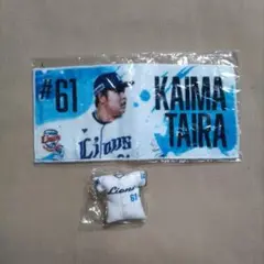 Item thumbnail for item 96b5de1a-ecd2-4b24-8bf3-6013a84e181a