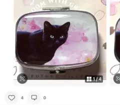 ⚠️8月限定SALE⚠️ ハンドメイド レジン 黒猫 ピルケース