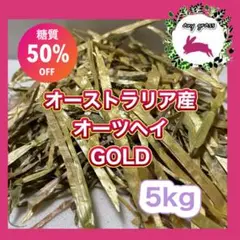 Item thumbnail for item ef54a72b-852e-4d25-8ca1-7ec7d5665372