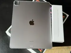 美品 iPad Pro 12.9インチWi-Fi +Cellular 128GB
