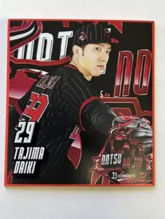 オリックス　2025 夏の陣 シークレットミニ色紙 田嶋大樹