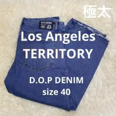【希少☆レア】D.O.P DENIM Los Angeles TERRITORY