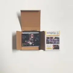 プロセカ　ノーブルアート 60 絵名