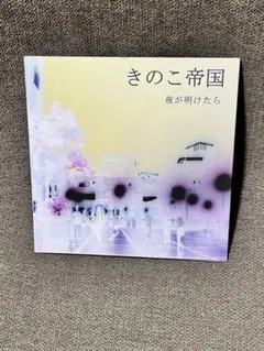 2025年最新】きのこ帝国 夜が明けたらの人気アイテム - メルカリ