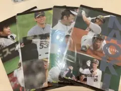 月刊ジャイアンツ　付録　クリアファイル