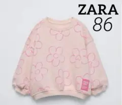Item thumbnail for item c0379d85-001b-43e5-8637-7fa116e3f428