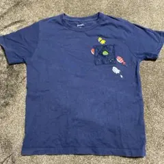 Item thumbnail for item 753f603e-9629-41c2-bfd1-570b4931c695