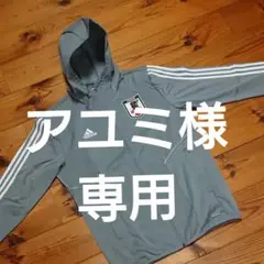 サッカー日本代表レインピステ
