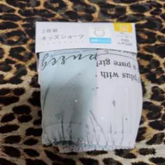 Item thumbnail for item ed3b6b2c-2874-48d4-913c-8e346b379a01