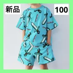 FLUFFYBROTHERS マインクラフトセットアップ　フラッフィー　100