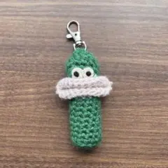 lip case