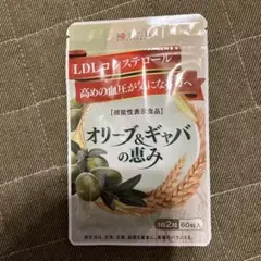 漢方セレクト 和漢の森 オリーブ ギャバ 60粒