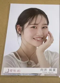 向井純葉 Addiction 封入生写真 ヨリ