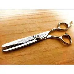 Item thumbnail for item 0bffd291-4c00-4b36-9612-e0f4b16a31f9