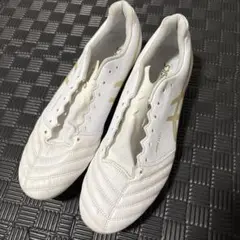 アシックス　エックスフライプロSG 28.5