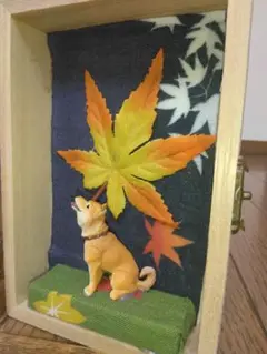 柴犬ボックス　もみじ
