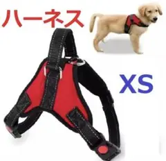 Item thumbnail for item 9c1ca364-7c11-4d86-8fa8-e89bf899b9b3